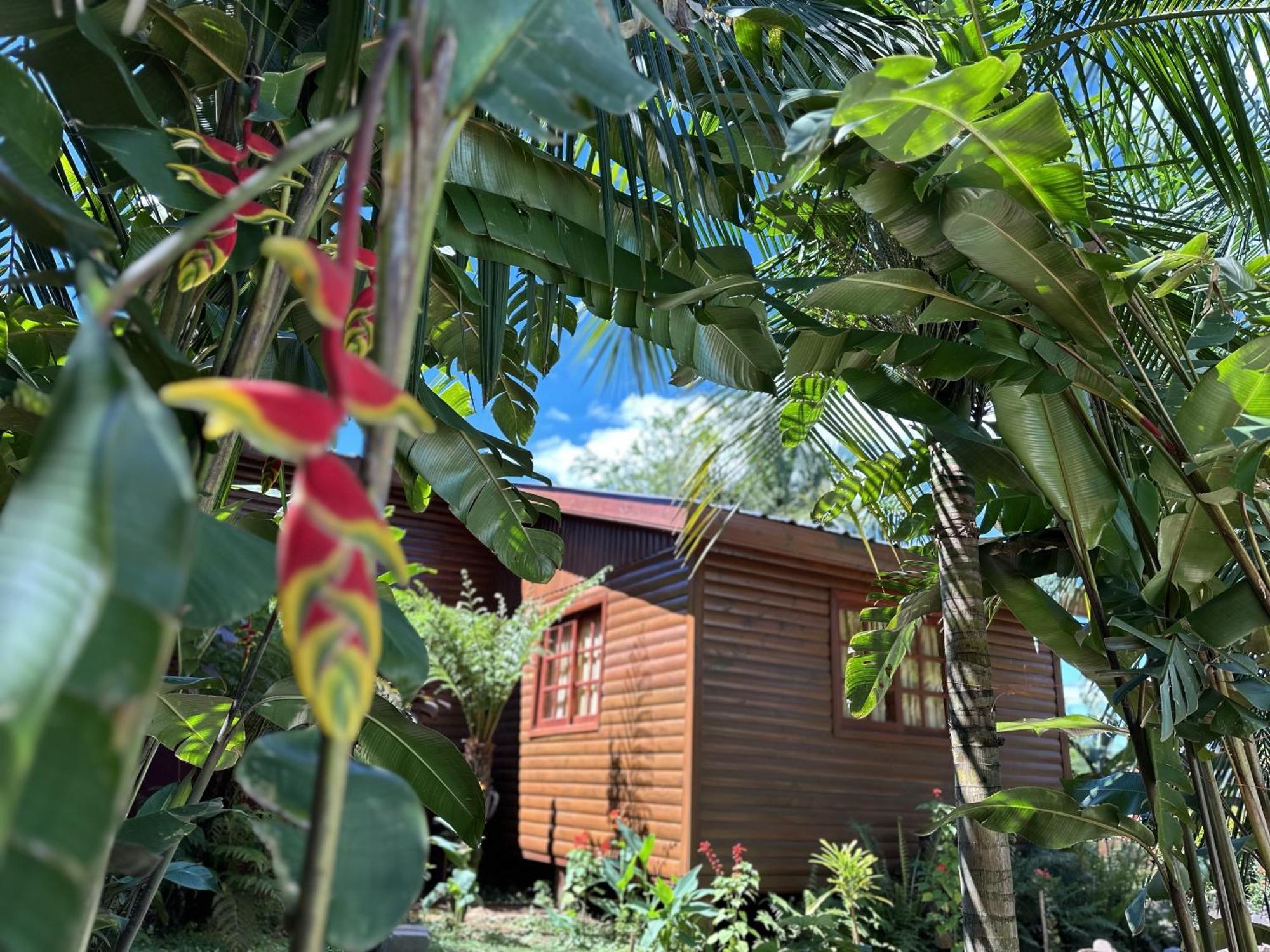 Terra Lodge Puerto Iguazú Exterior foto